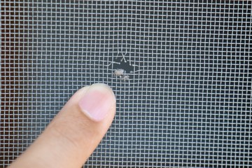 網戸穴
